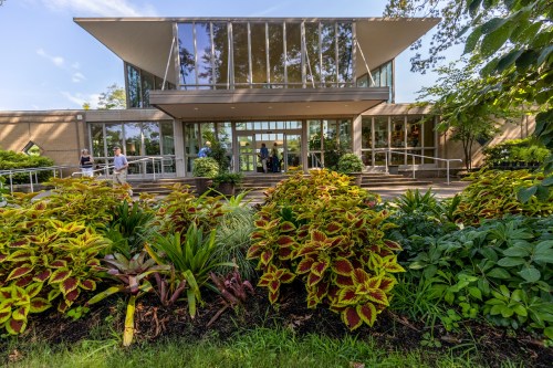 A modern building with large windows, surrounded by vibrant green and colorful plants in the foreground.