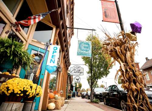 A charming street scene with shops, colorful signs, pumpkins, and fall decorations, showcasing a festive atmosphere.