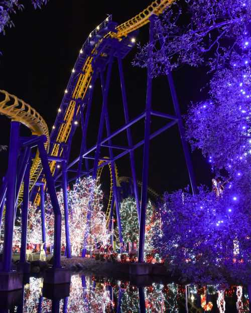 A brightly lit roller coaster at night, surrounded by colorful holiday lights and trees reflecting in water.