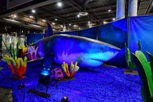 A large, colorful shark sculpture surrounded by vibrant seaweed and blue decorations in an indoor setting.