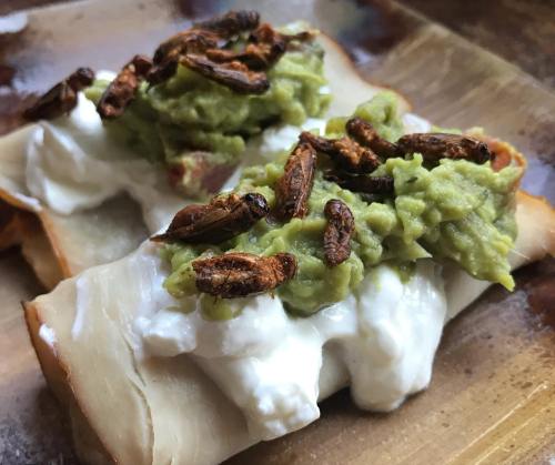 Two tortillas topped with guacamole, sour cream, and crispy insects, served on a wooden plate.