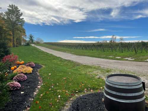 A scenic view of a gravel road lined with vineyards, colorful flowers, and a wooden barrel under a blue sky.