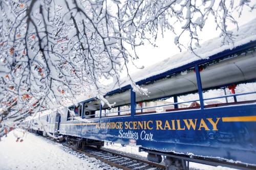 A blue train car labeled "Blue Ridge Scenic Railway" surrounded by snow-covered trees in a winter landscape.