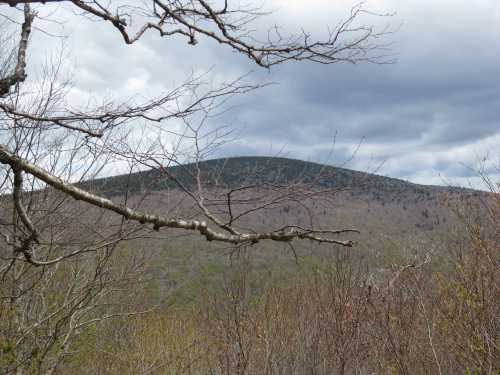 A distant mountain peak rises above a landscape of bare trees under a cloudy sky.