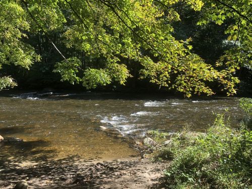 A serene river flows through a lush, green landscape, framed by trees and dappled sunlight.