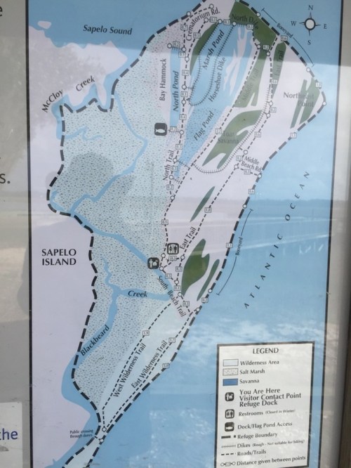 Map of Sapelo Island showing trails, waterways, and points of interest, with a "You Are Here" marker.