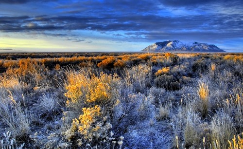 A scenic landscape featuring golden grasses and shrubs under a dramatic sky, with a snow-capped mountain in the background.