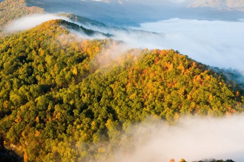 Aerial view of colorful autumn trees on rolling hills, with mist covering the valley below.