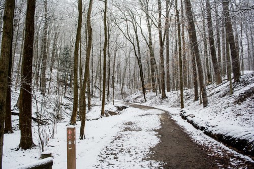 A snowy forest path winding through bare trees, with a signpost on the left.