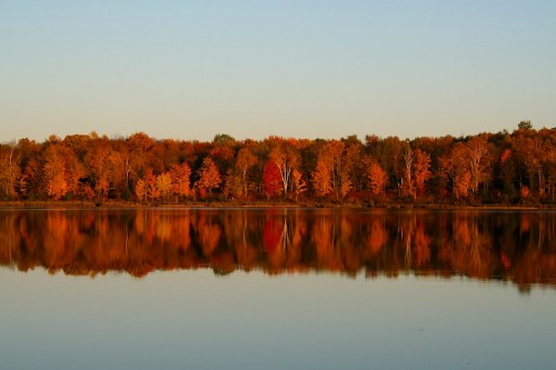 A serene lake reflecting vibrant autumn trees in shades of orange, red, and yellow under a clear sky.