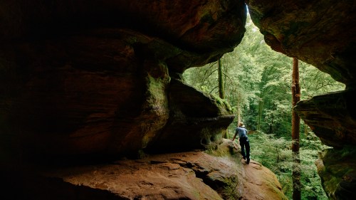 A person stands on a rocky ledge inside a cave, surrounded by lush green trees and sunlight filtering through the opening.