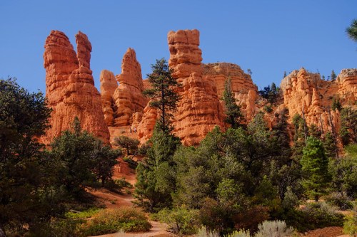 Red rock formations rise among green trees under a clear blue sky in a scenic landscape.