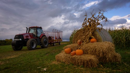 A red tractor near a hay bale decorated with pumpkins, set against a cloudy sky and cornfield backdrop.