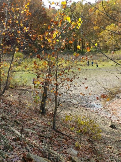 A serene landscape with autumn leaves, a dry lakebed, and people walking in the distance among trees.