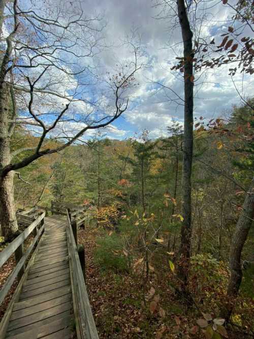 A wooden walkway winds through a forest with trees and colorful autumn leaves under a cloudy sky.