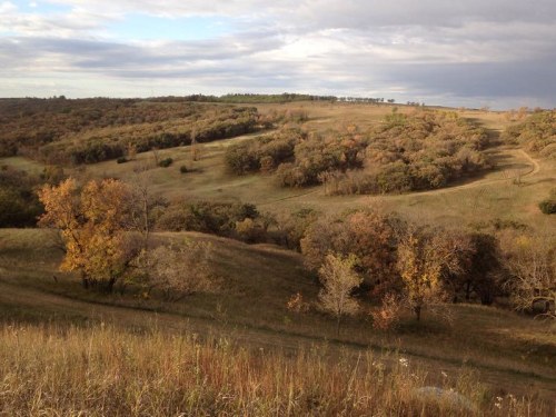 A scenic landscape featuring rolling hills, trees with autumn foliage, and a cloudy sky.