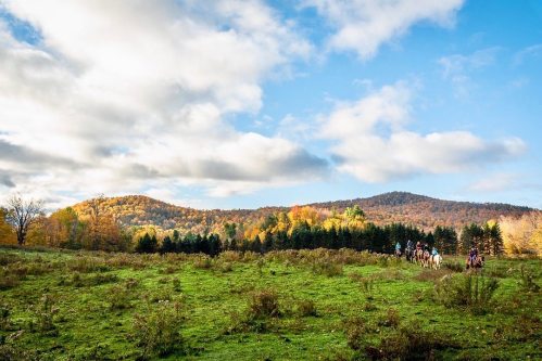 A group of people horseback riding through a vibrant autumn landscape with rolling hills and colorful trees.