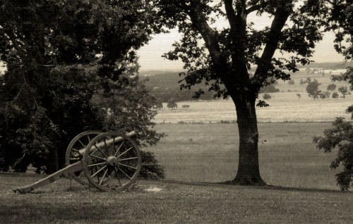 A vintage cannon rests on a grassy hill, framed by trees and overlooking a vast, open landscape.