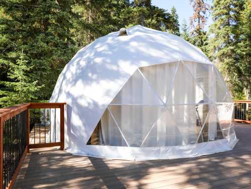 A white geodesic dome tent on a wooden deck, surrounded by tall green trees.