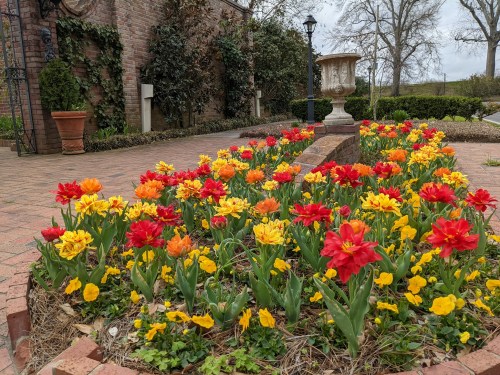 A vibrant flower bed with red, orange, and yellow tulips surrounded by greenery and a stone planter in the background.