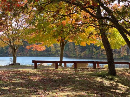 A serene lakeside scene with vibrant autumn trees and colorful leaves reflecting on the water.