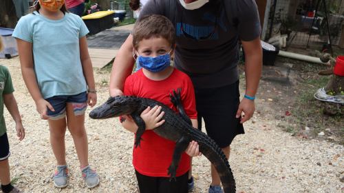 A child in a red shirt holds a small alligator, while others nearby wear masks and smile.