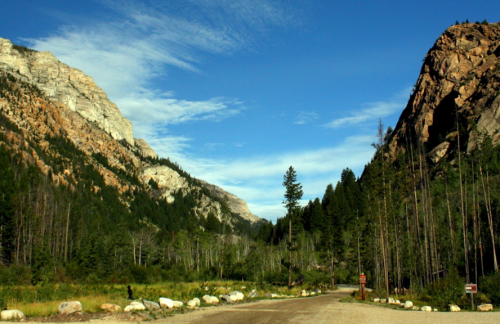 A scenic view of a mountain road surrounded by tall trees and rocky cliffs under a blue sky with scattered clouds.
