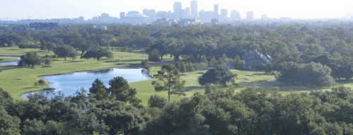 A scenic view of a green landscape with a city skyline in the background, featuring trees and a calm water body.