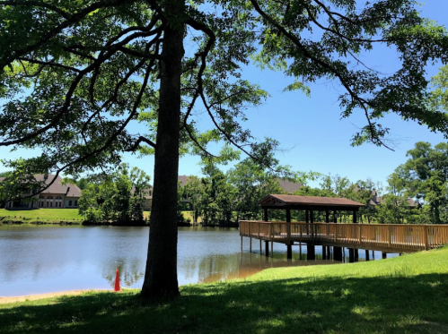A serene lakeside view featuring a wooden dock, lush greenery, and a clear blue sky.