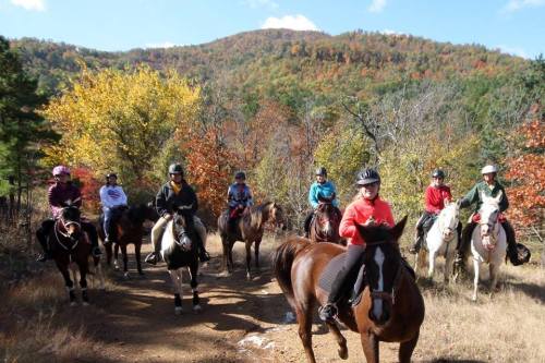 A group of riders on horseback in a colorful autumn forest, with mountains in the background.