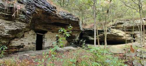 A rocky landscape with a cave entrance, surrounded by trees and greenery.