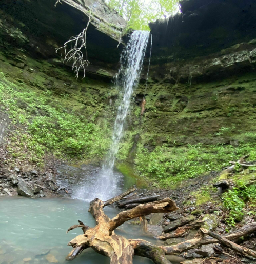 A serene waterfall cascades down rocky cliffs into a tranquil pool, surrounded by lush greenery and fallen branches.