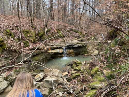 A small waterfall cascades over rocks into a serene pool, surrounded by trees and fallen leaves in a wooded area.