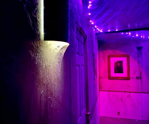 A dimly lit hallway with purple lights, cobwebs, and a framed portrait on the wall, creating a spooky atmosphere.