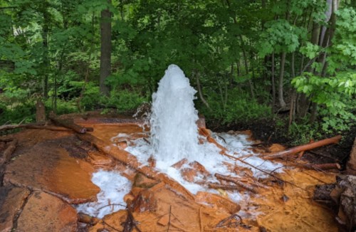 A natural spring erupts from the ground, surrounded by lush green trees and orange-hued soil.