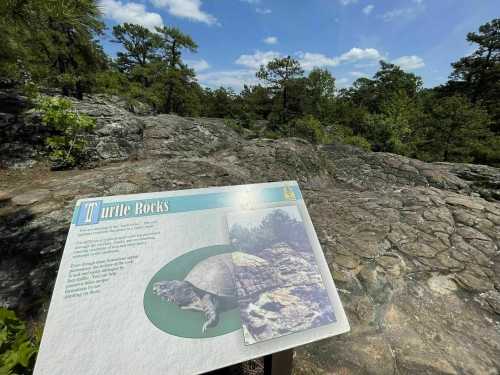 A sign labeled "Turtle Rocks" stands on rocky terrain, surrounded by trees and a blue sky with clouds.