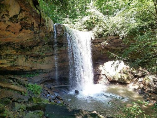 A serene waterfall cascading over rocky cliffs, surrounded by lush green trees and foliage.