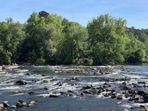 A serene river scene with smooth rocks and lush green trees under a clear blue sky.