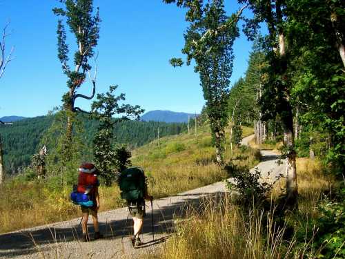 Two hikers with backpacks walk along a dirt path surrounded by trees and mountains under a clear blue sky.