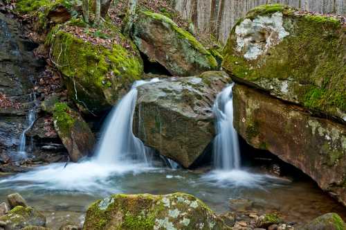 A serene waterfall cascades over moss-covered rocks into a clear stream, surrounded by lush greenery.