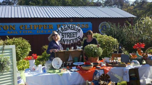 Two women stand behind a table filled with vintage items and plants, with a sign reading "Magnolia Street Antiques" in the background.