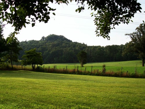 A lush green field with trees in the foreground and a wooded hill in the background under a clear sky.