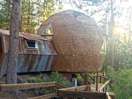 A unique wooden dome-shaped house nestled among trees, featuring a rustic design and a sloped roof.