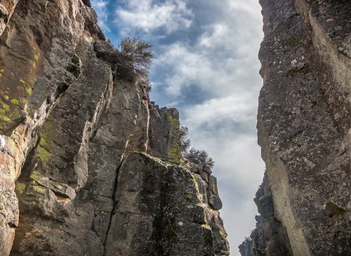 A narrow canyon with towering rock walls and a cloudy sky above. Green moss clings to the stone surfaces.