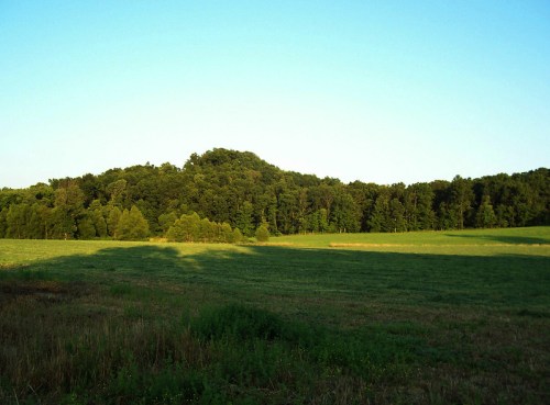 A serene landscape featuring a green field in the foreground and a wooded hill in the background under a clear blue sky.