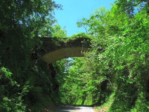 A lush green landscape with a stone arch bridge over a narrow road, surrounded by dense foliage and bright blue sky.