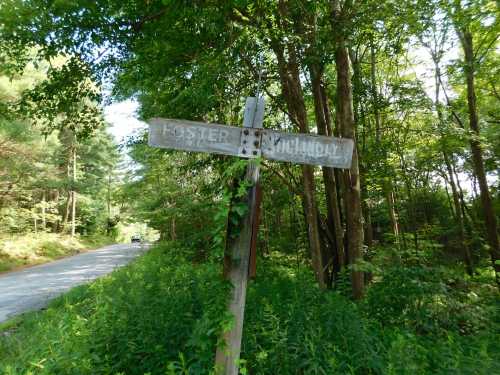 A weathered wooden signpost at a forested intersection, indicating "Foster" and "Lindley" with a road in the background.