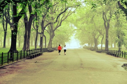 Two people walk along a misty path lined with trees in a serene park setting.