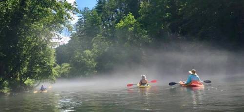 Three kayakers paddle through a misty river surrounded by lush green trees on a sunny day.
