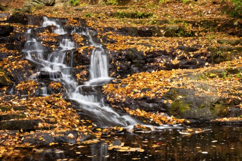 A serene waterfall cascades over rocks, surrounded by vibrant autumn leaves.